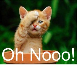 64709073_10219604189117772_6548248409545900032_n