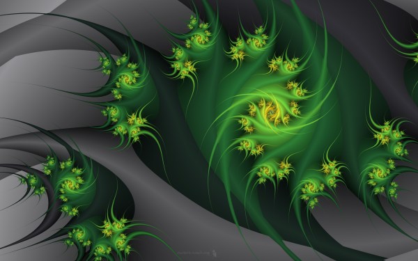 greenabstractflowersgrayfractalsembrace_www.wallpaperhi.com_93