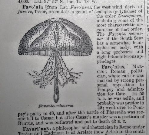 83589500_3362265320514260_6230817761929461760_o