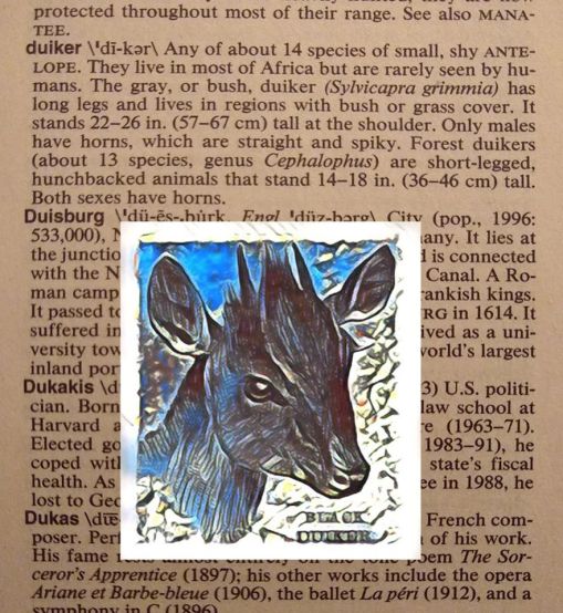 95567715_3716975928376529_508234904748687360_o