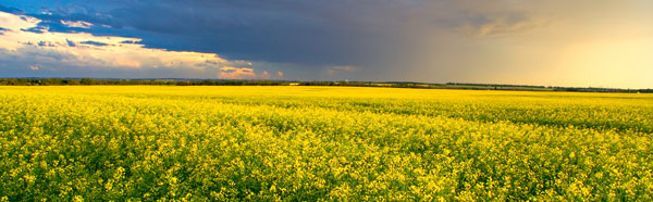 gftfghththrfthrhhhhhh