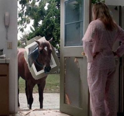 141027390_4893038247436952_6082018727744127006_n